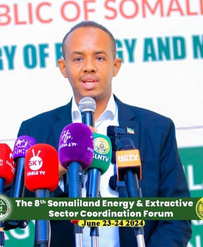 8th Energy and Extractives Sector Coordination Forum 2024