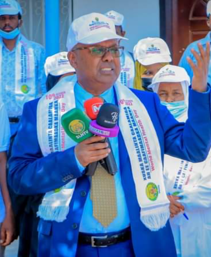 The Power of Domestic Financing: Somaliland’s Mental Health Khat Tax Experience (Sin Tax)